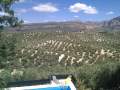 Casa Rural 'CORTIJO LA LEONA'