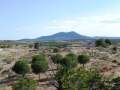 Vista desde terraza