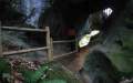 Cuevas de Andina(El Franco)